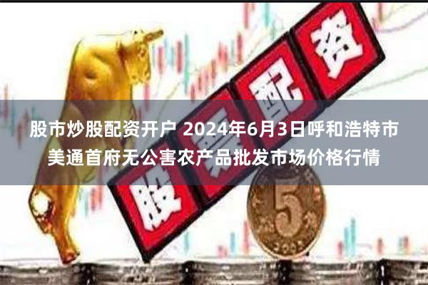 股市炒股配资开户 2024年6月3日呼和浩特市美通首府无公害农产品批发市场价格行情