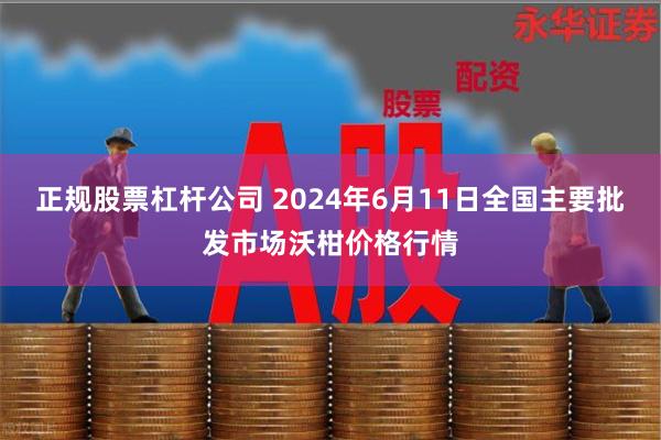 正规股票杠杆公司 2024年6月11日全国主要批发市场沃柑价格行情