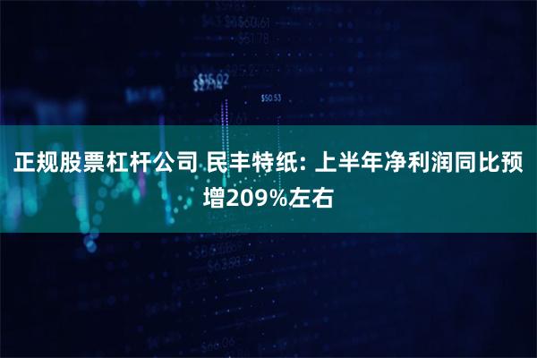 正规股票杠杆公司 民丰特纸: 上半年净利润同比预增209%左右