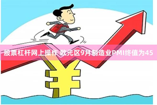 股票杠杆网上操作 欧元区9月制造业PMI终值为45