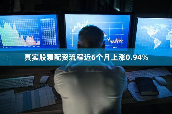 真实股票配资流程近6个月上涨0.94%