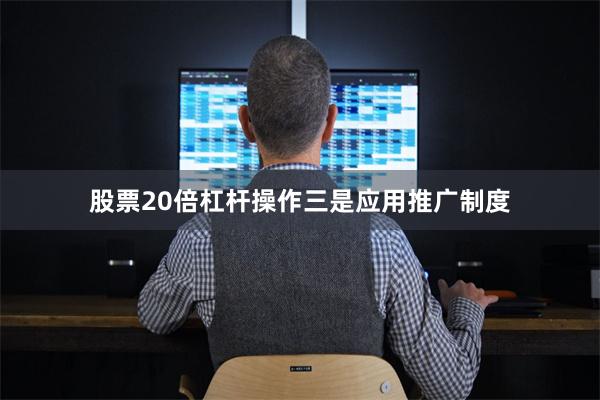 股票20倍杠杆操作　　三是应用推广制度
